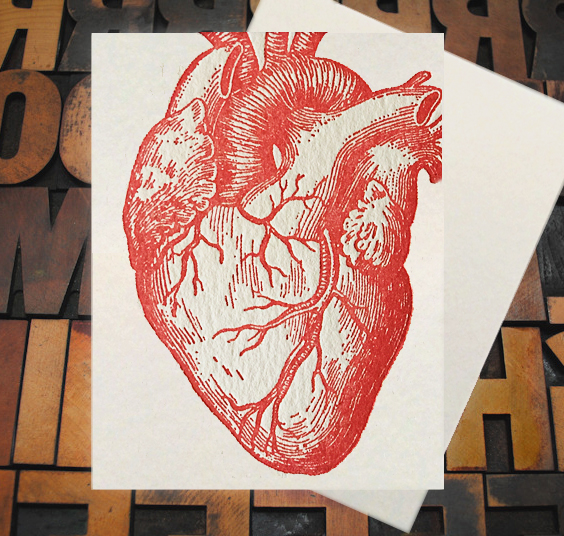 Letterpress Card with an image of an anatomical heart
