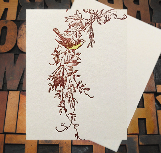 Letterpress Card with an image of a birds on a vine